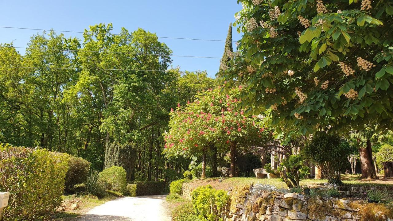 Domaine Du Cardou Hotell Puy-lʼÉvêque Exteriör bild