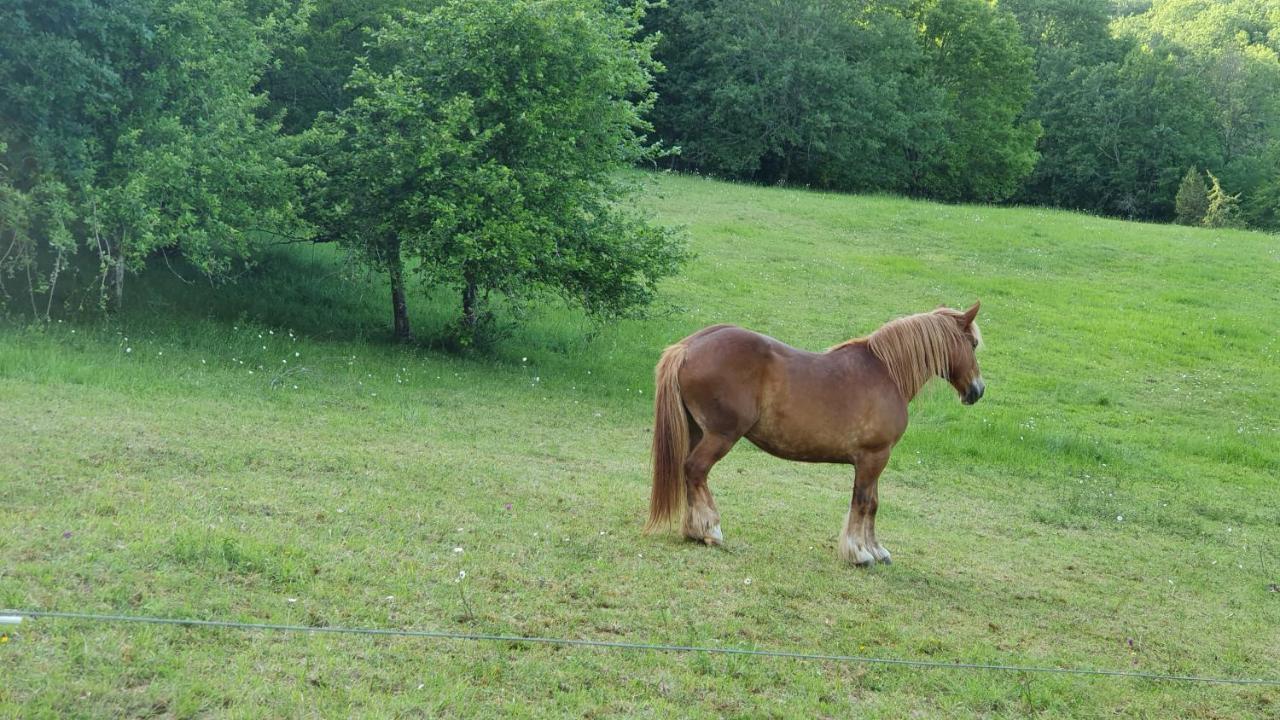 Domaine Du Cardou Hotell Puy-lʼÉvêque Exteriör bild
