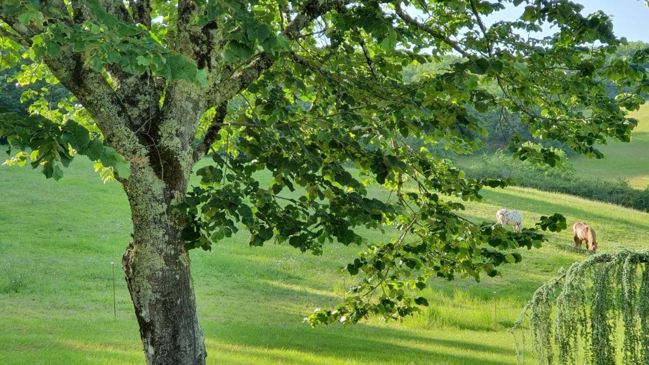 Domaine Du Cardou Hotell Puy-lʼÉvêque Exteriör bild
